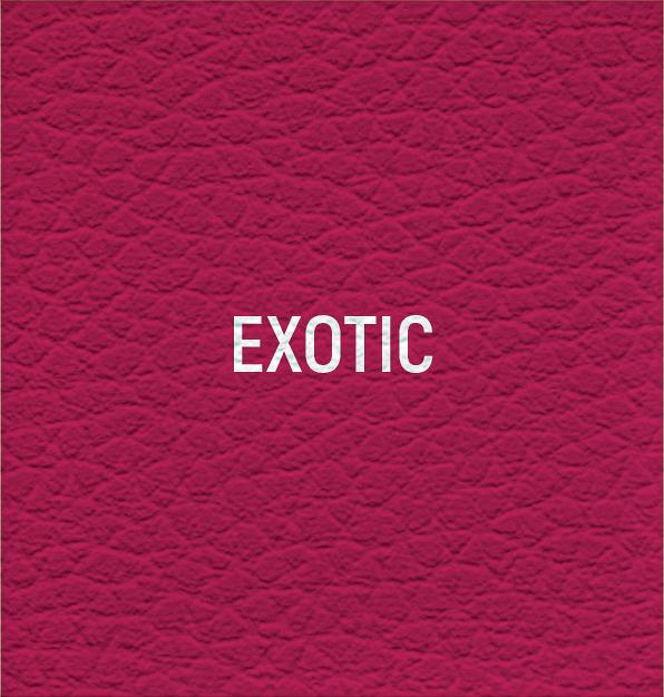 EXOTIC